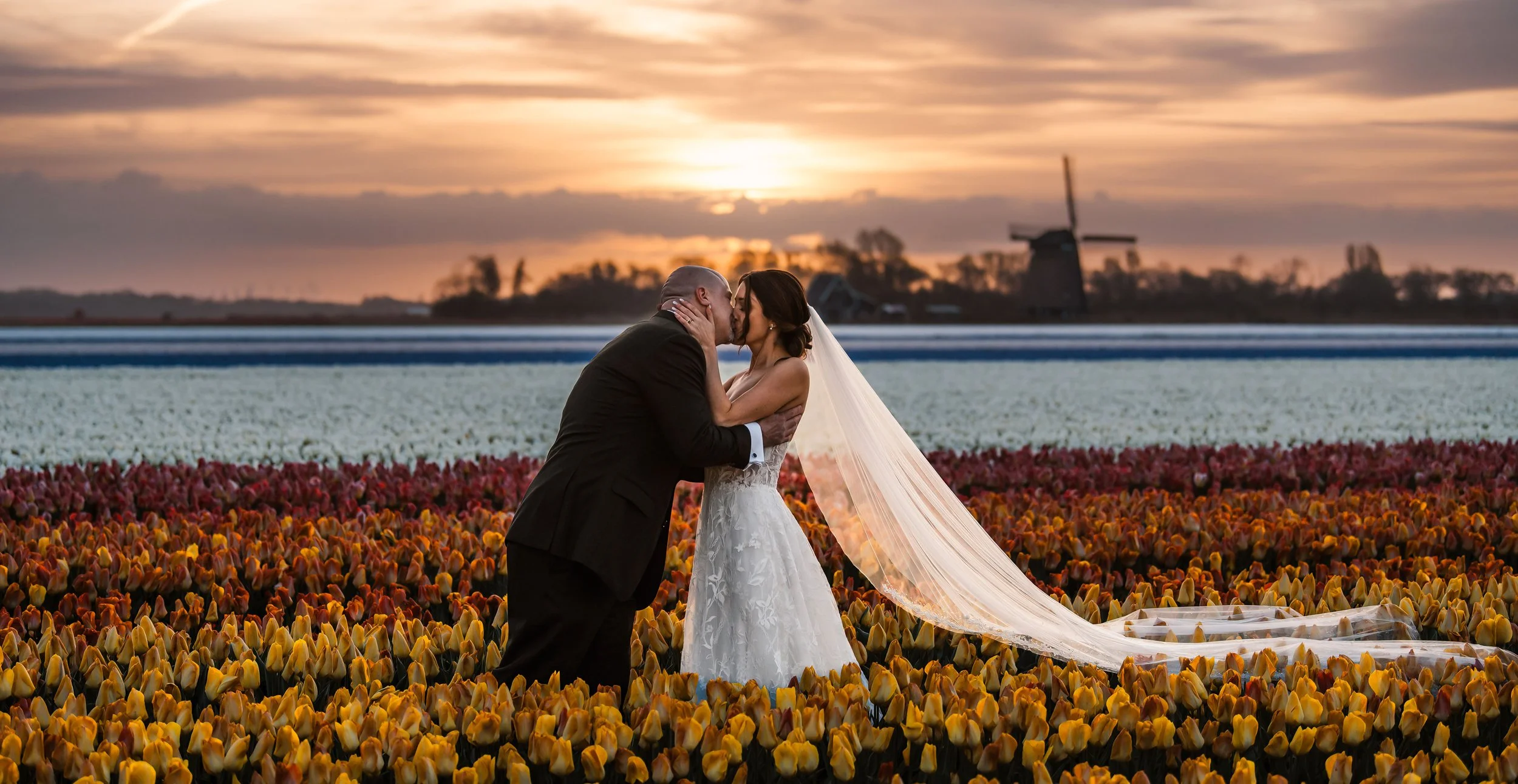 Tulip-Holland-Elopement