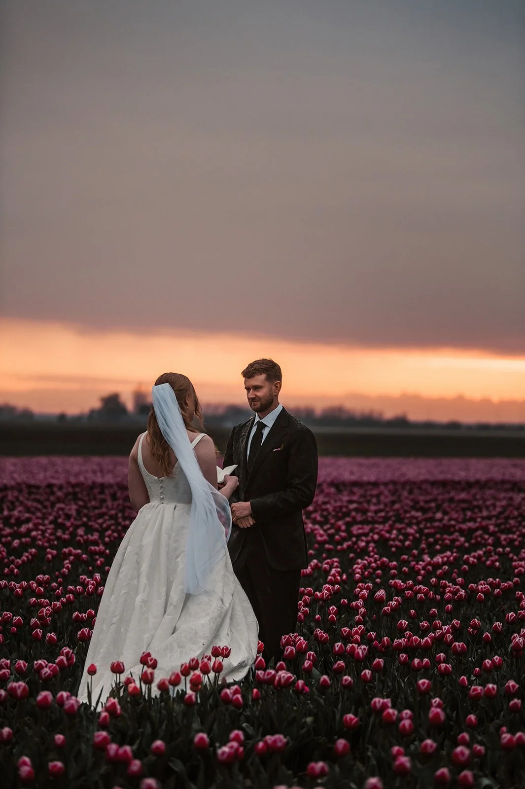 Elope-in-tulip-fields.jpg