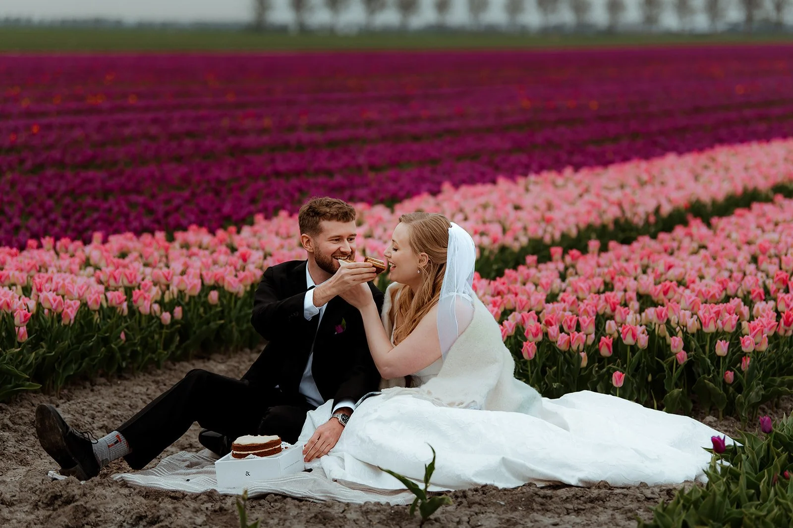Picnic-tulip-fields.jpg