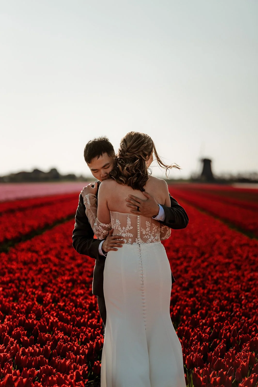 Red-tulip-windmills.jpg