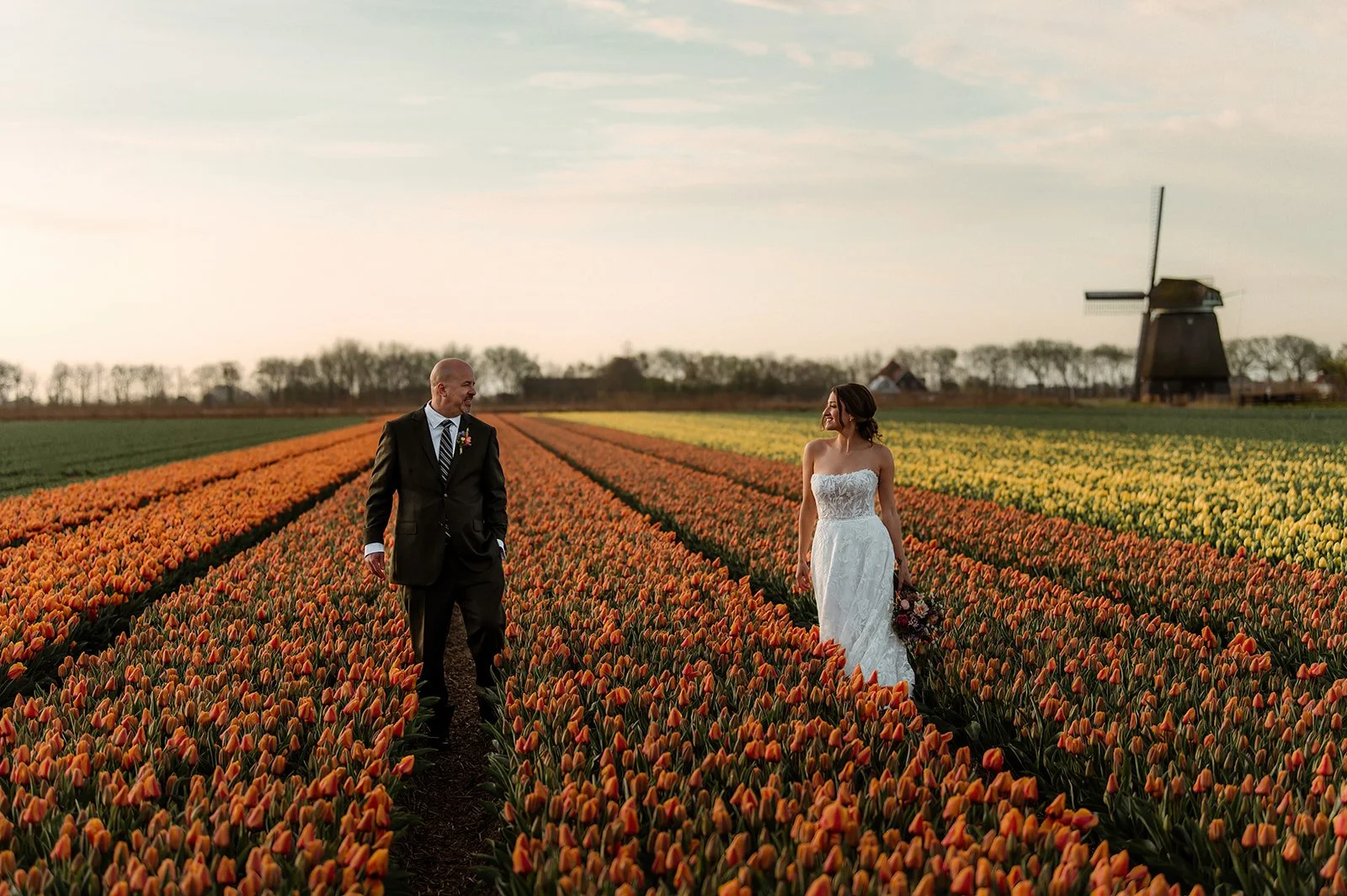 Tulips-the-Netherlands.jpg
