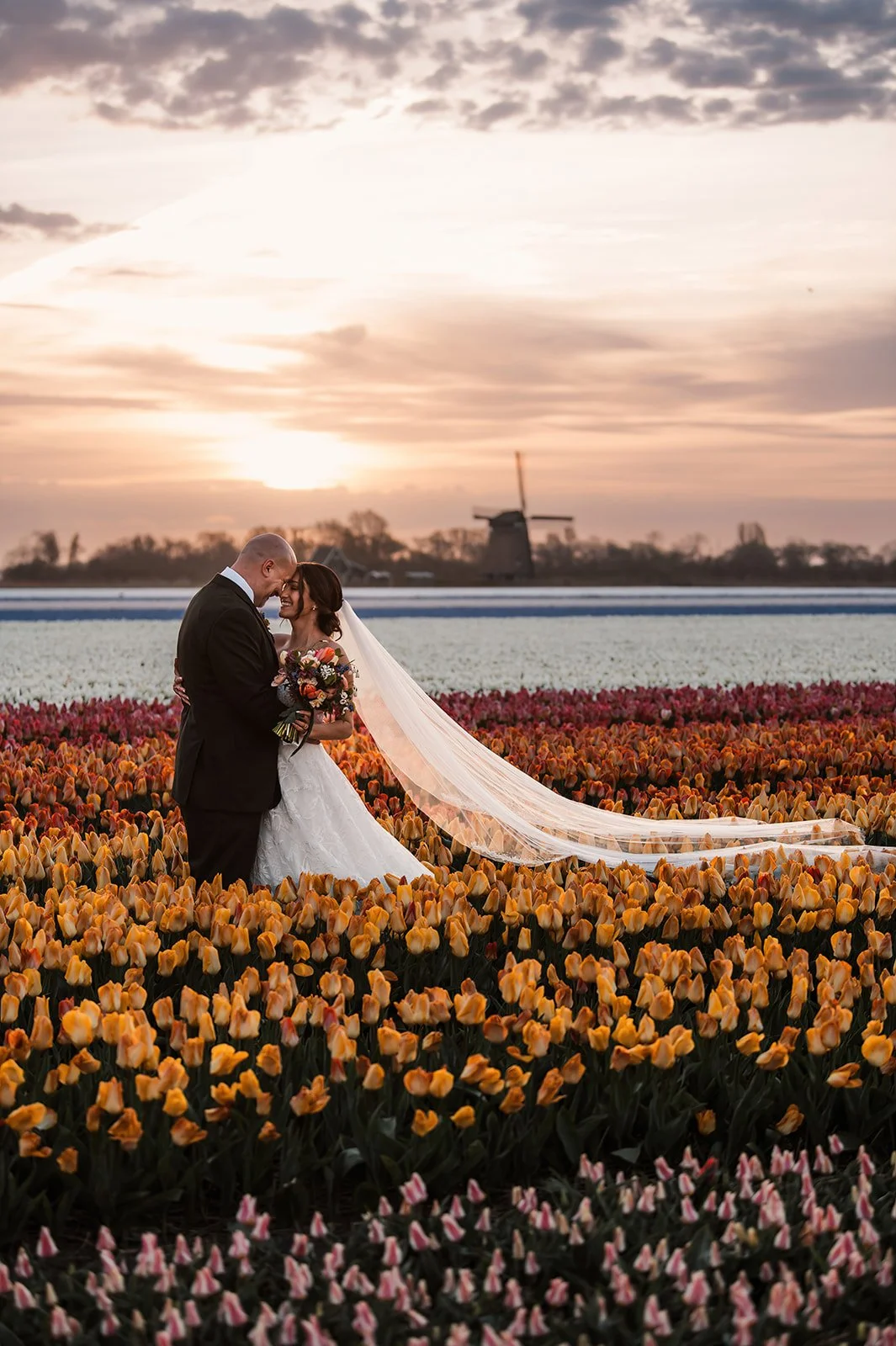 Amsterdam-Tulip-Fields-Holland
