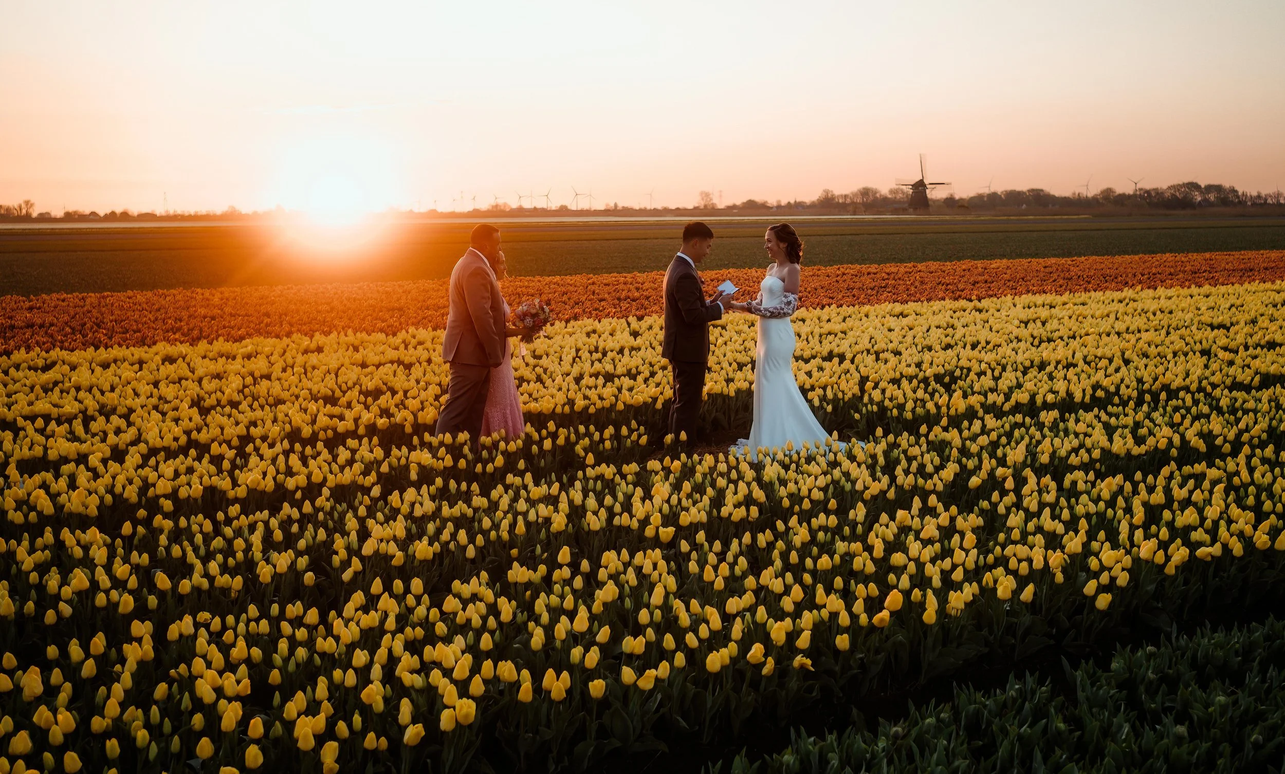 Holland-Elopement-Tulips-web-3.jpg