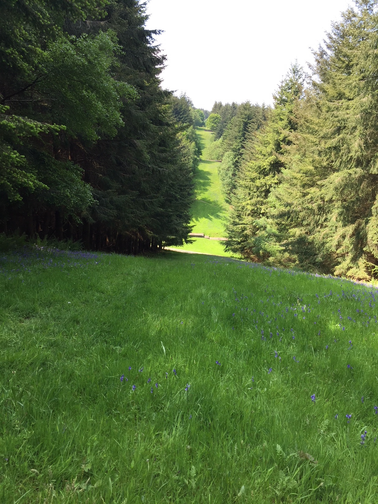 Aqueducts as far as the eye can see Source:letsgoludlow.com