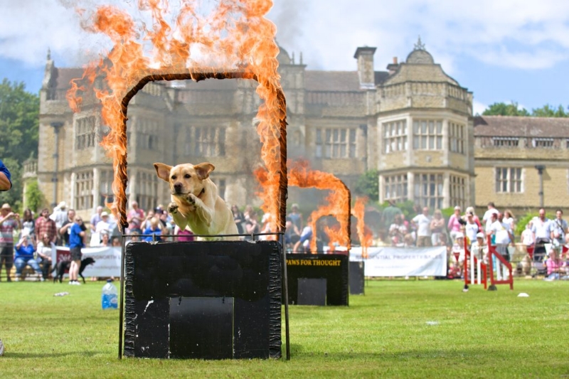 display-1024x683.jpg