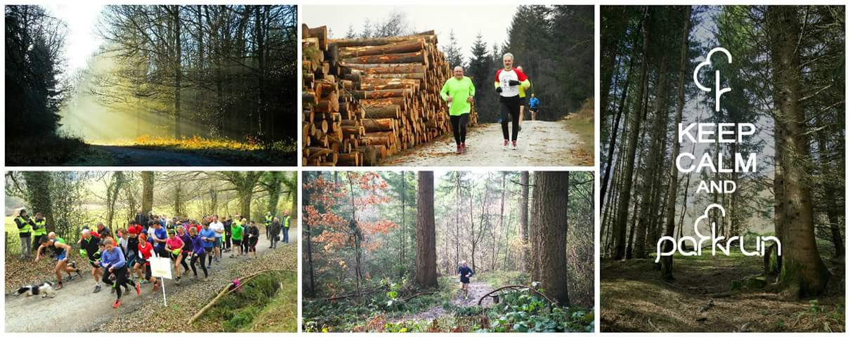 The breathtaking scenery of Mortimer Forest Photo Credit: Ludlow Park Run