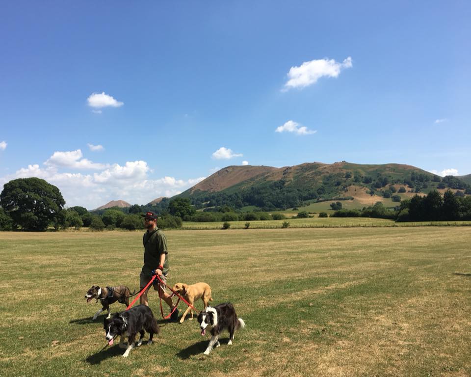 Walkies…with an amazing backdrop Photo Credit: Tom Rochester