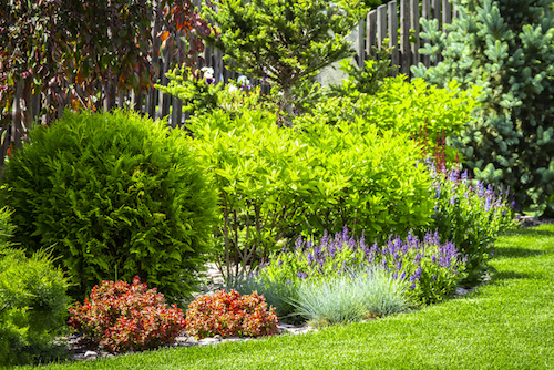 Let your imagination run wild in your garden