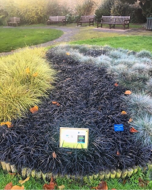The Fairtrade logo in Ludlow’s Castle Gardens