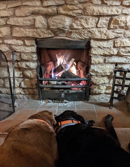 Islay and Lexi feeling at home in Shropshire Source: Nicole Landers