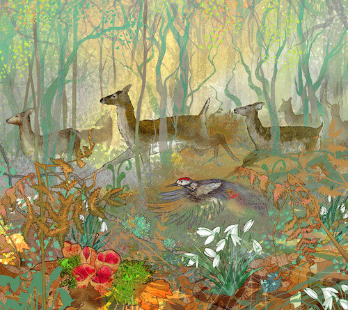 “Spring emerges” print - This 39 x 44 cm print features a small herd of the fallow deer that you often catch fleeting glimpses of when walking in Mortimer’s Forest. The fallow here are a rare subspecies, some having slightly longer, fluffier coats, especially notable are their long ear tufts. The fallow are set amongst a misty ethereal forest background with soft sunlight filtering through the trees and fallen leaves, snowdrops and scarlet elf cup fungus at the deers’ feet, a spotted woodpecker also flies through the scene. Hopefully the print brings back memories of woodland walks to any nature lovers or perhaps remind local people of time spent in this beautiful area during lockdown. Purchase online or in person at The Artists Gallery.