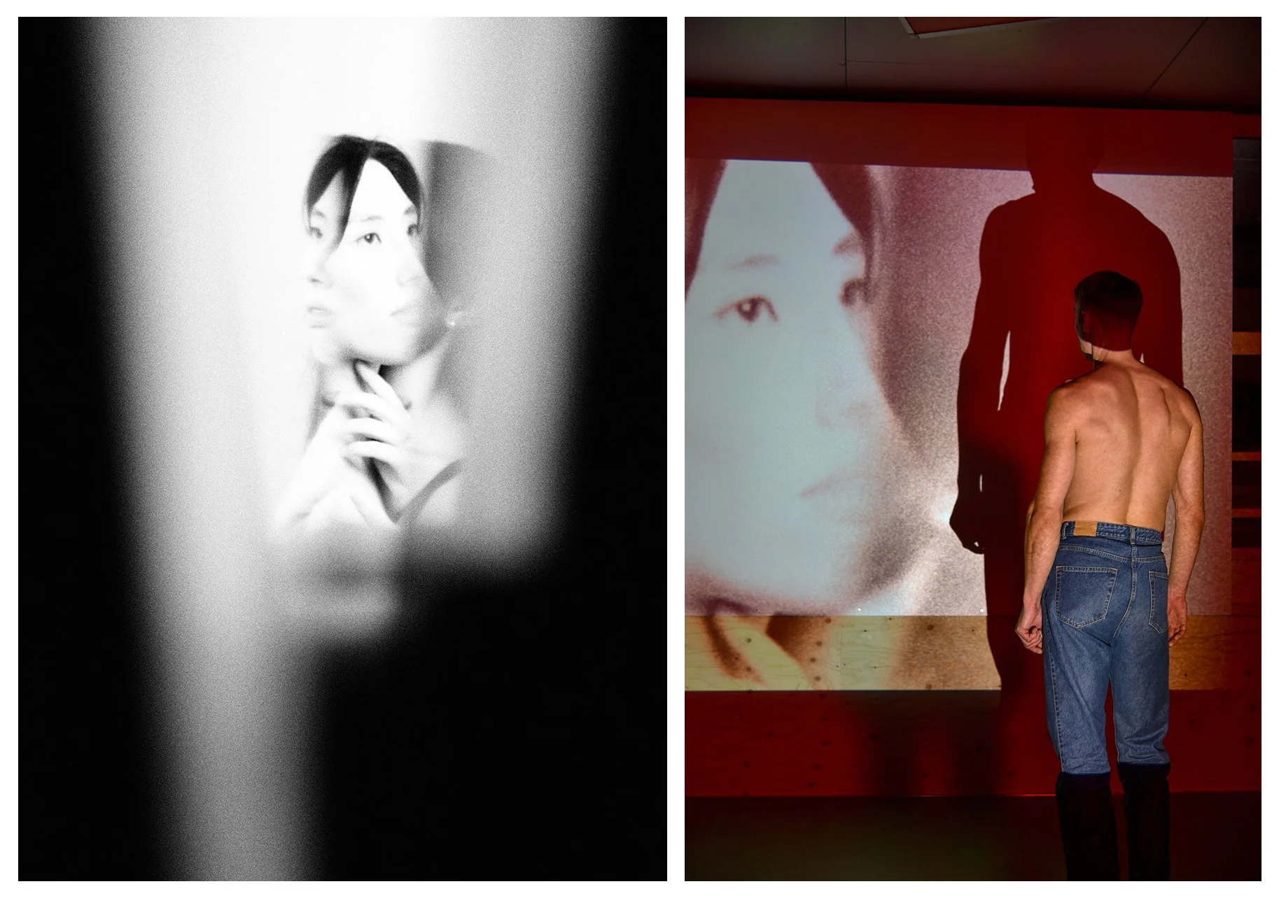 DIPTYCH - VIDEODROME