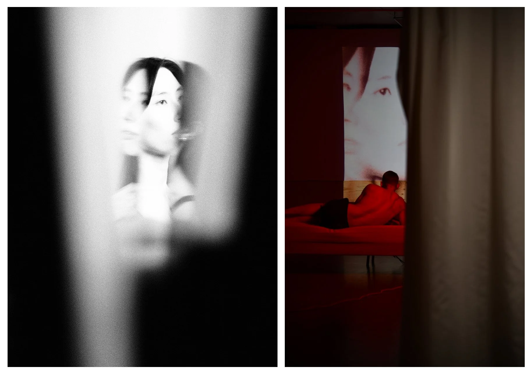 DIPTYCH - VIDEODROME