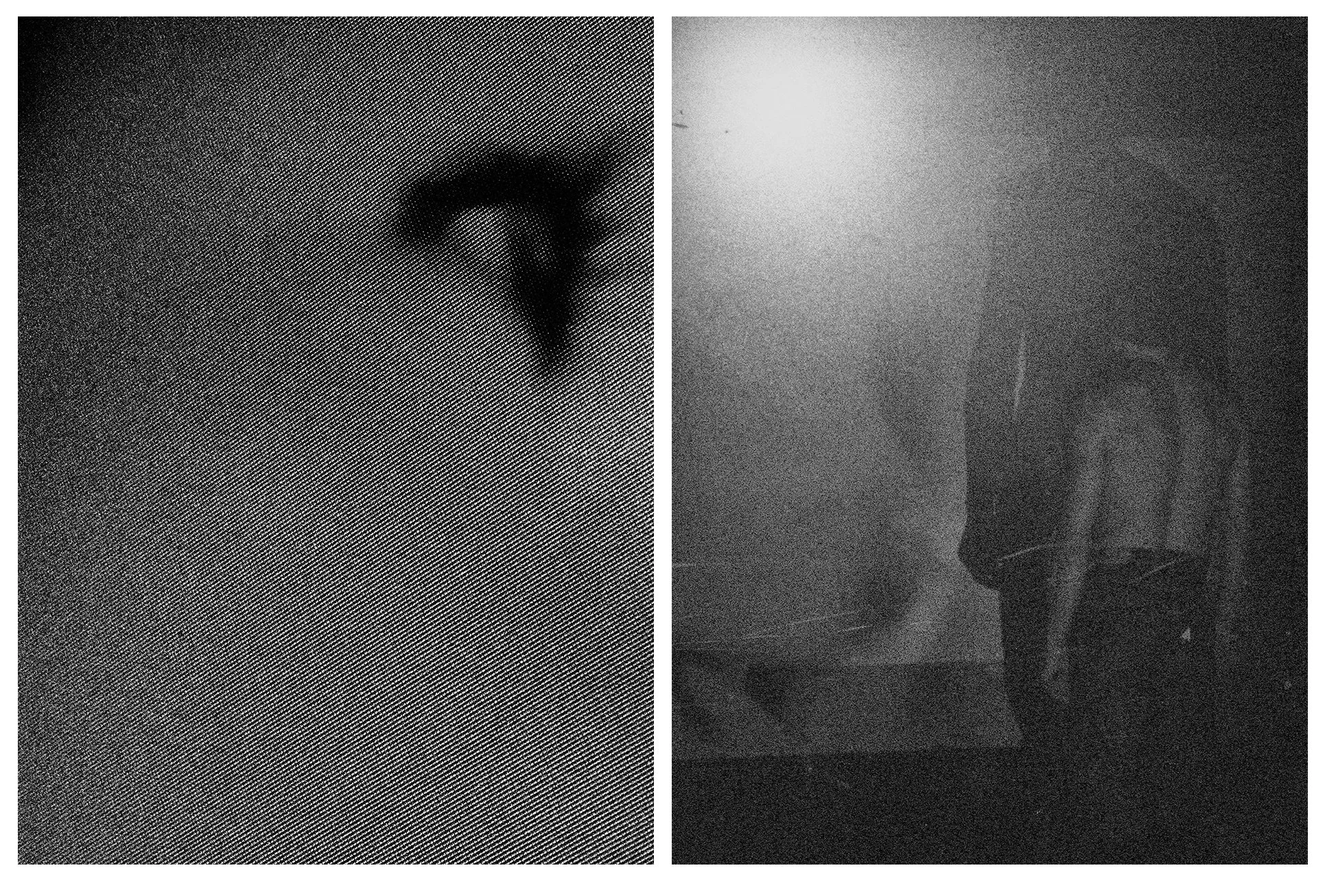 DIPTYCH - VIDEODROME