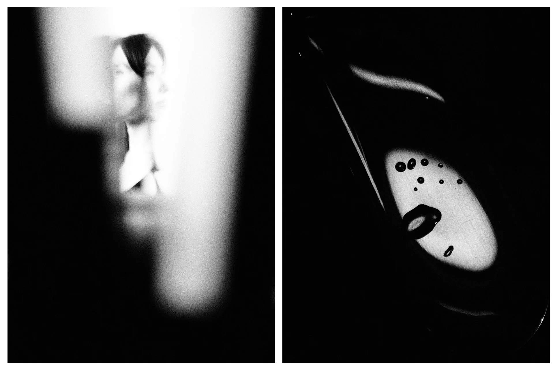 DIPTYCH - VIDEODROME
