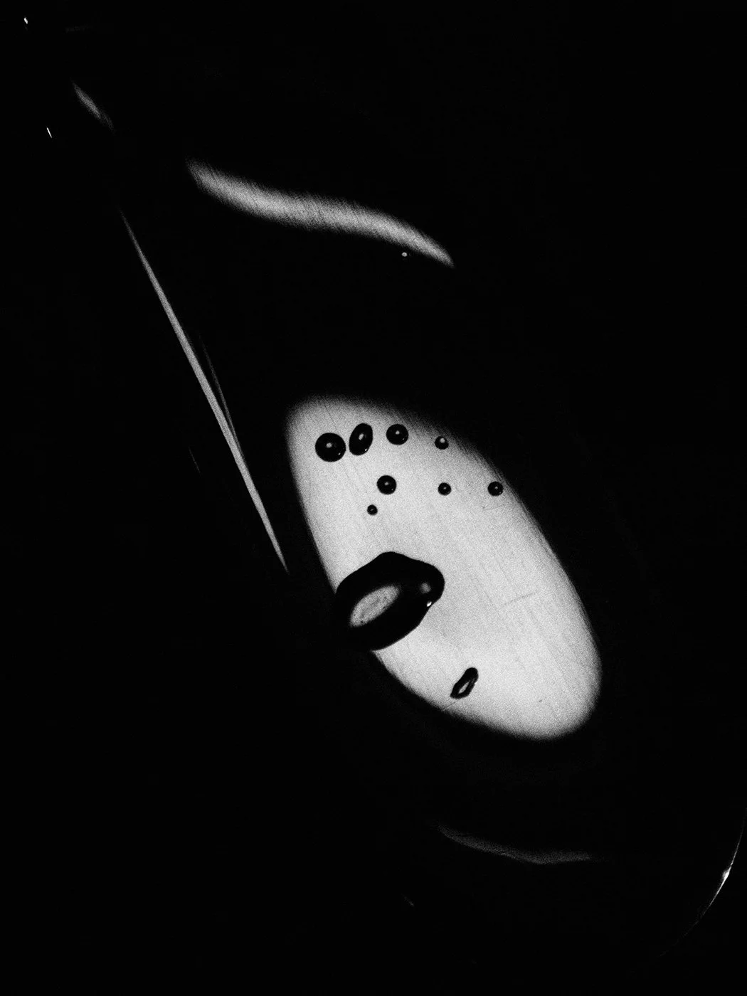 DIPTYCH - VIDEODROME PT. 2