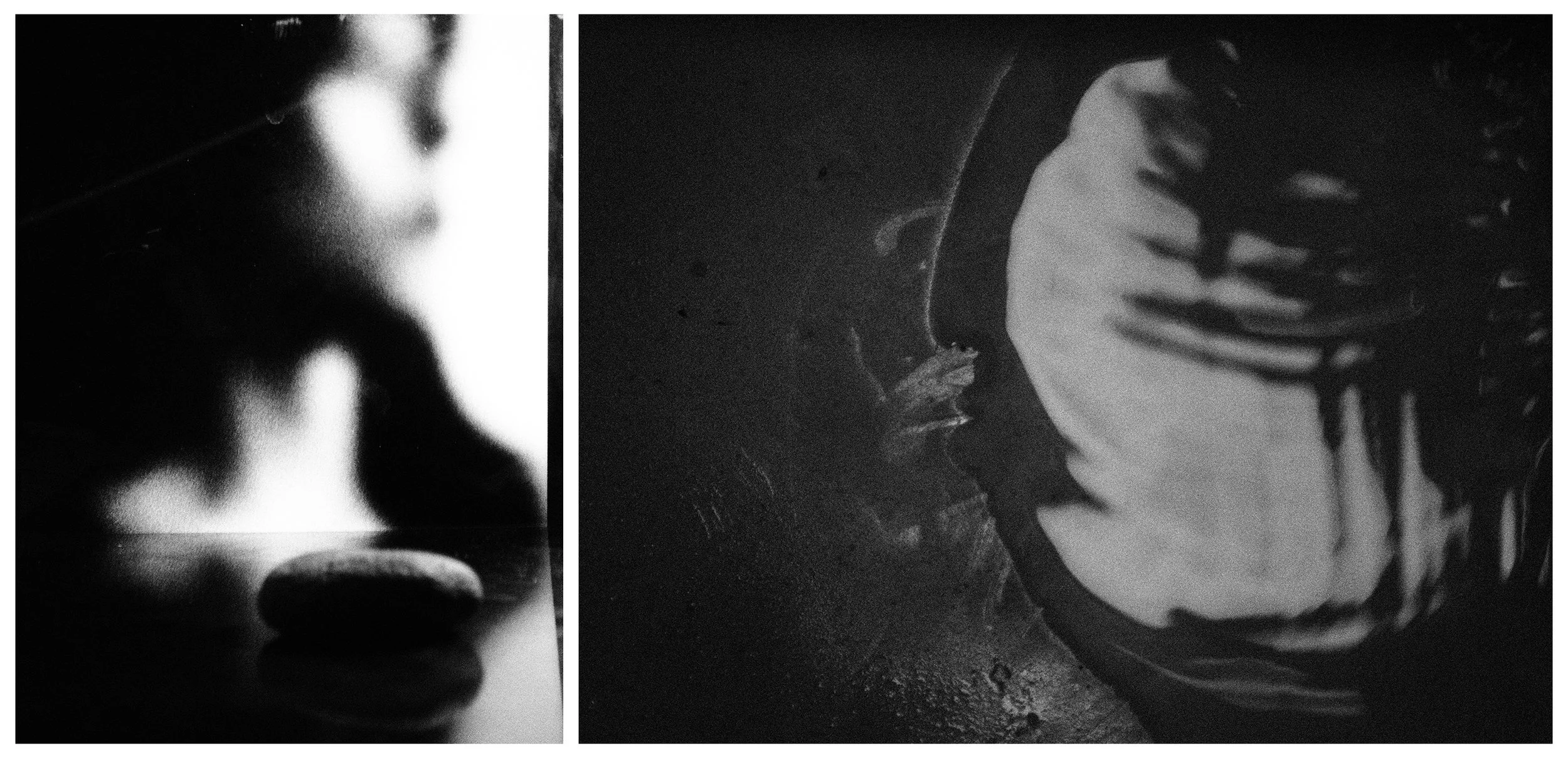 DIPTYCH - VIDEODROME