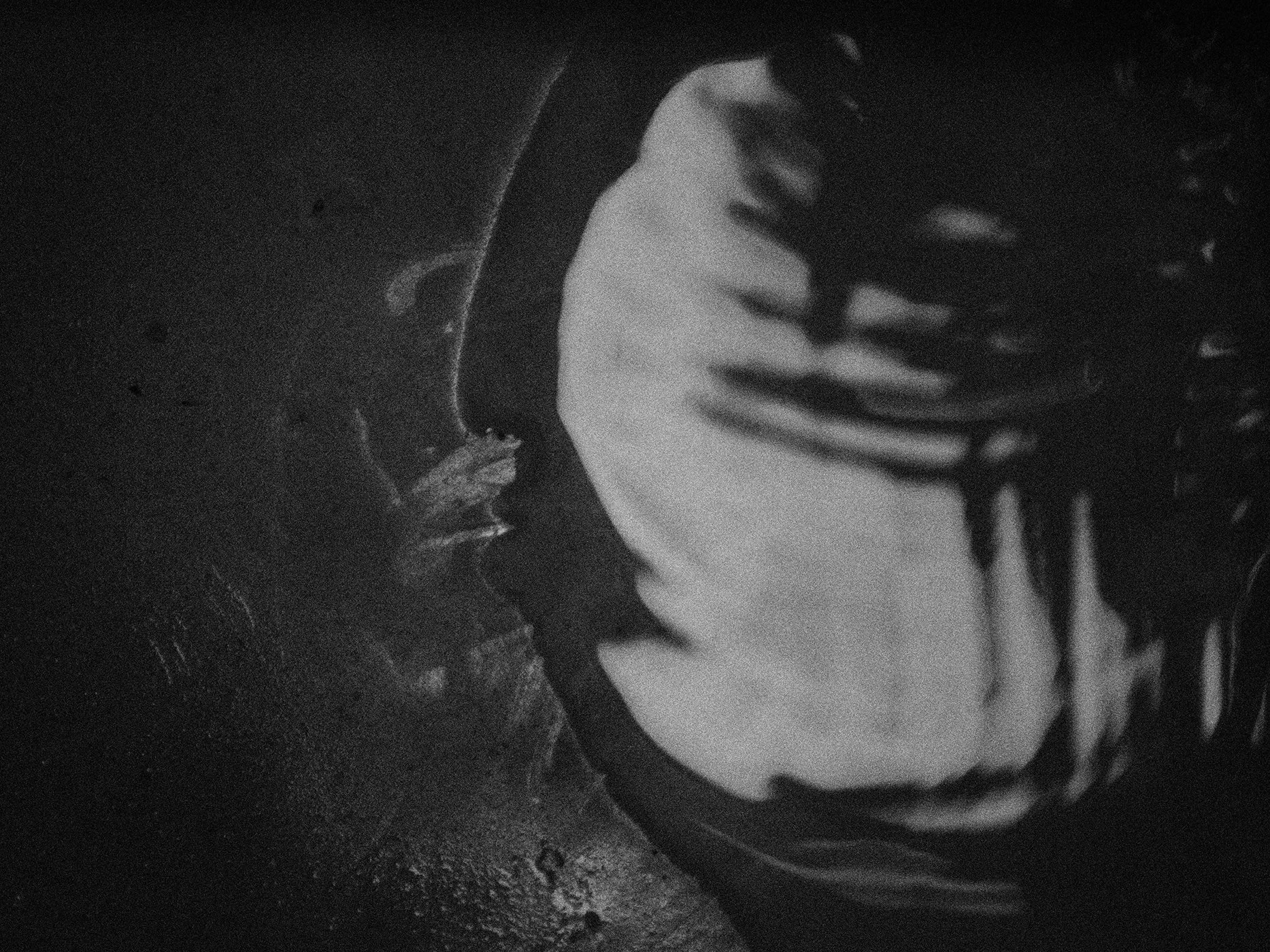DIPTYCH - VIDEODROME PT. 2