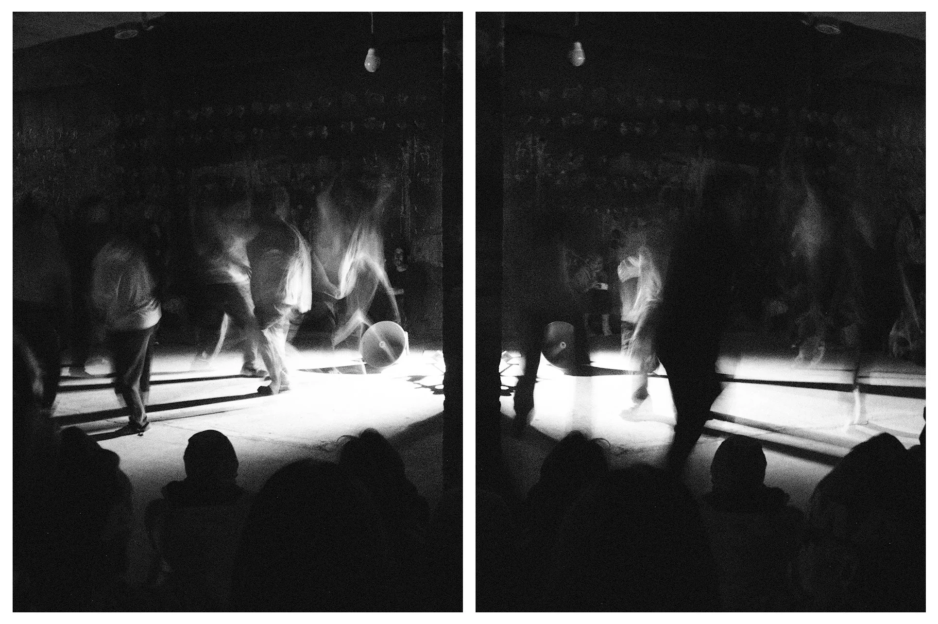 DIPTYCH - PLURAL FIELDS