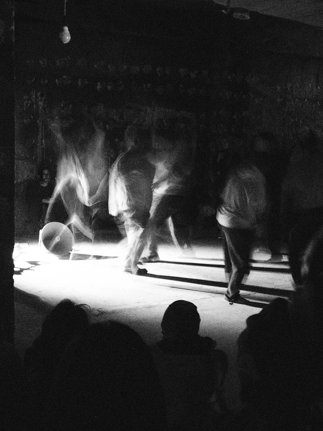 DIPTYCH - PLURAL FIELDS PT. 1