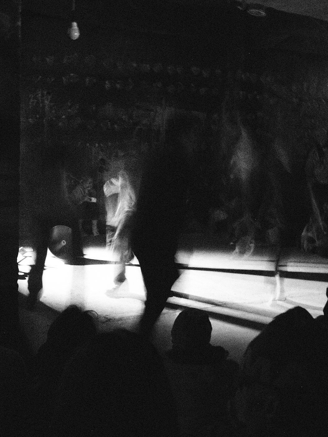 DIPTYCH - PLURAL FIELDS PT. 2