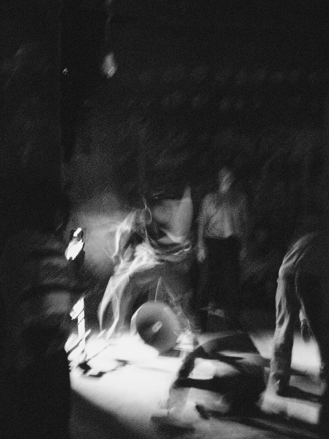 DIPTYCH - PLURAL FIELDS PT. 2