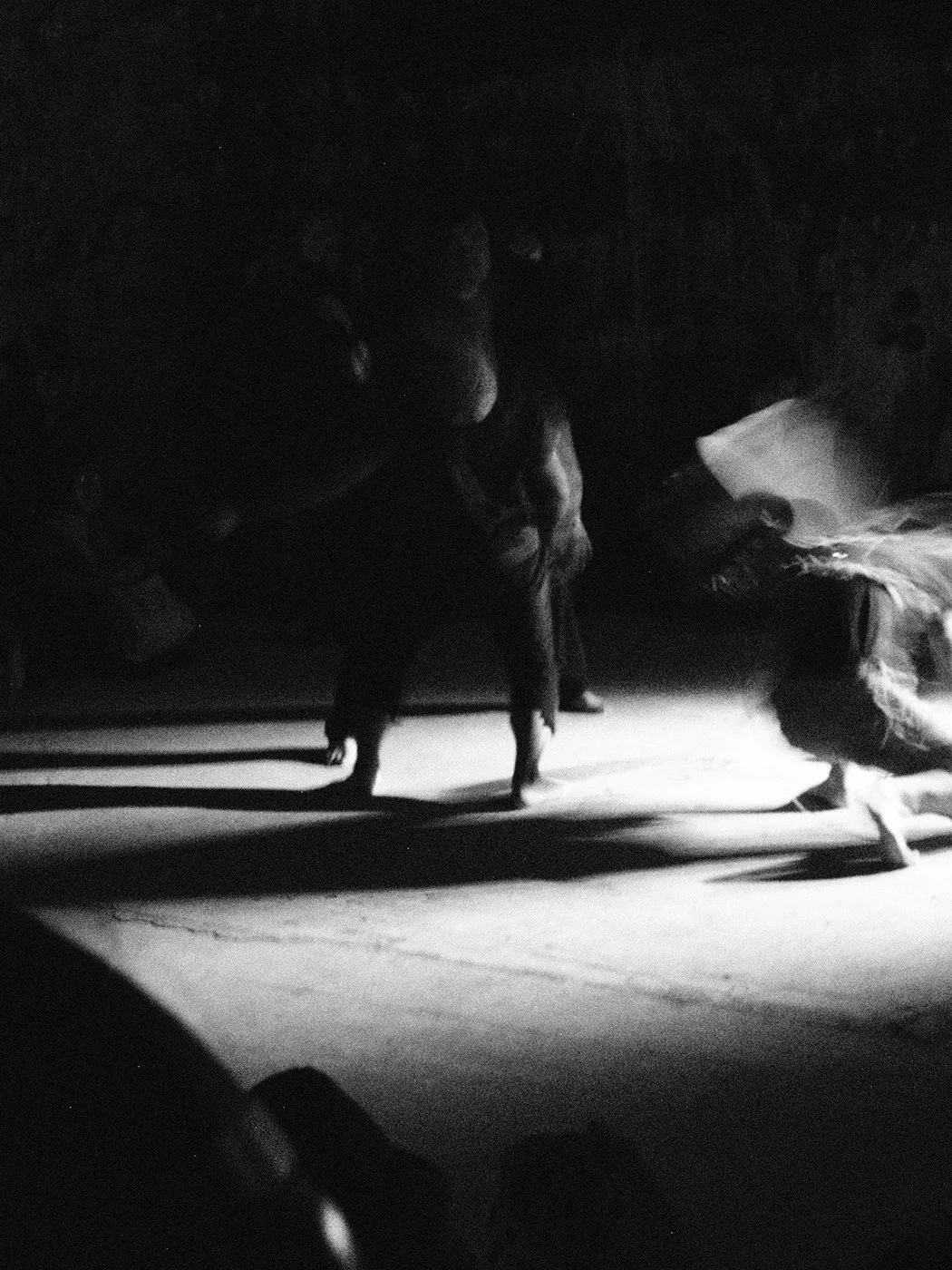 DIPTYCH - PLURAL FIELDS PT. 1