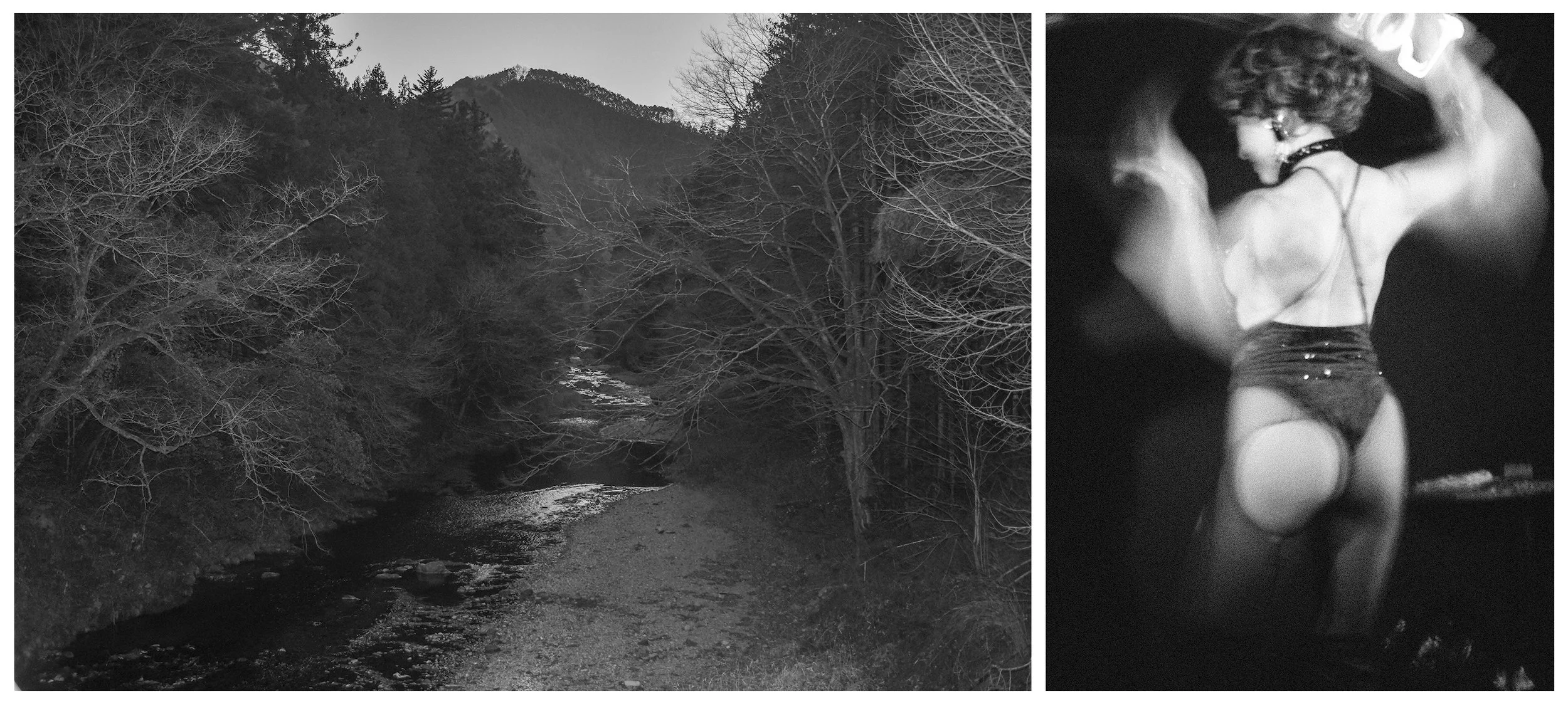 FALL VALLEY / NIGHTBIRD