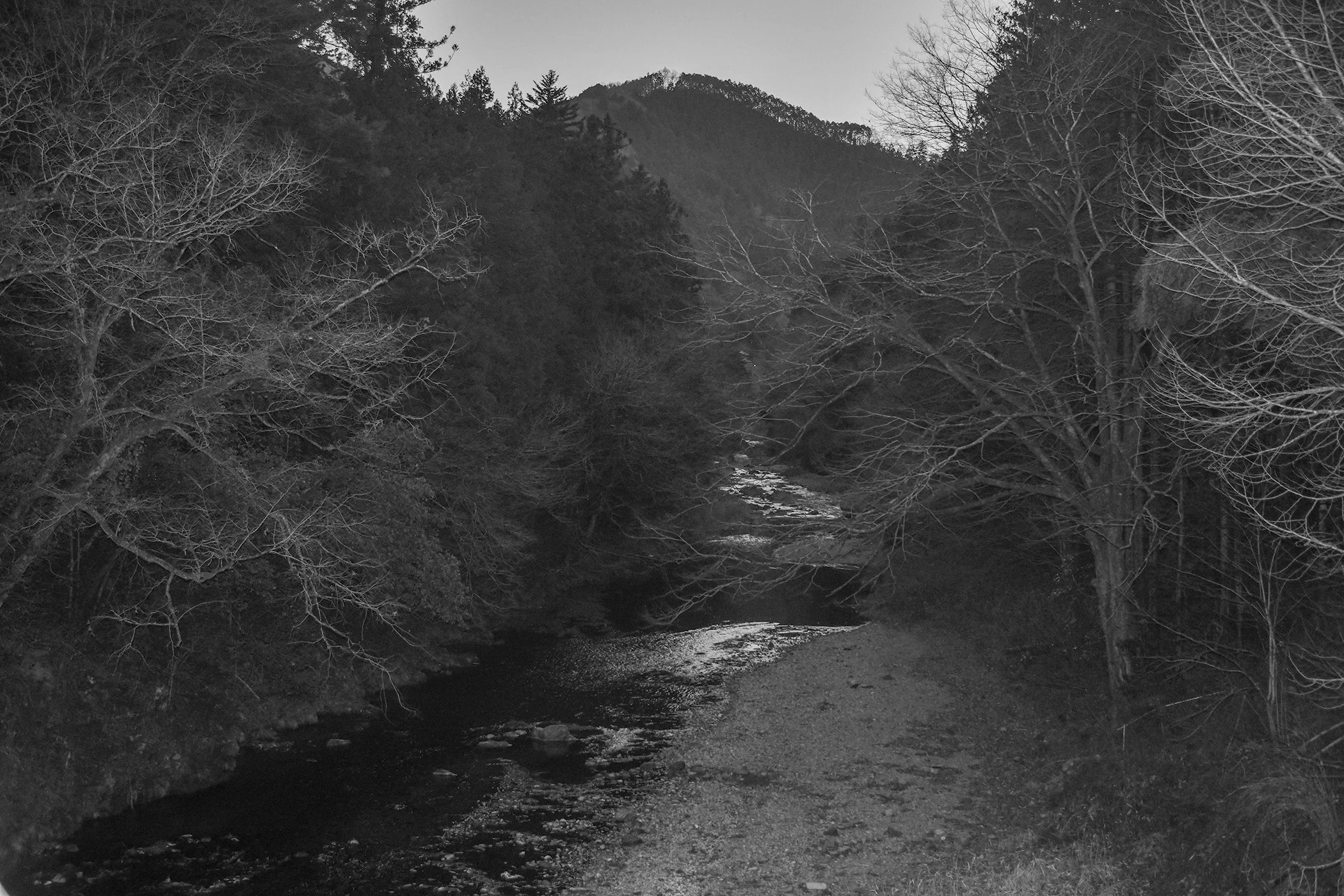 FALL VALLEY / NIGHTBIRD PT. 1