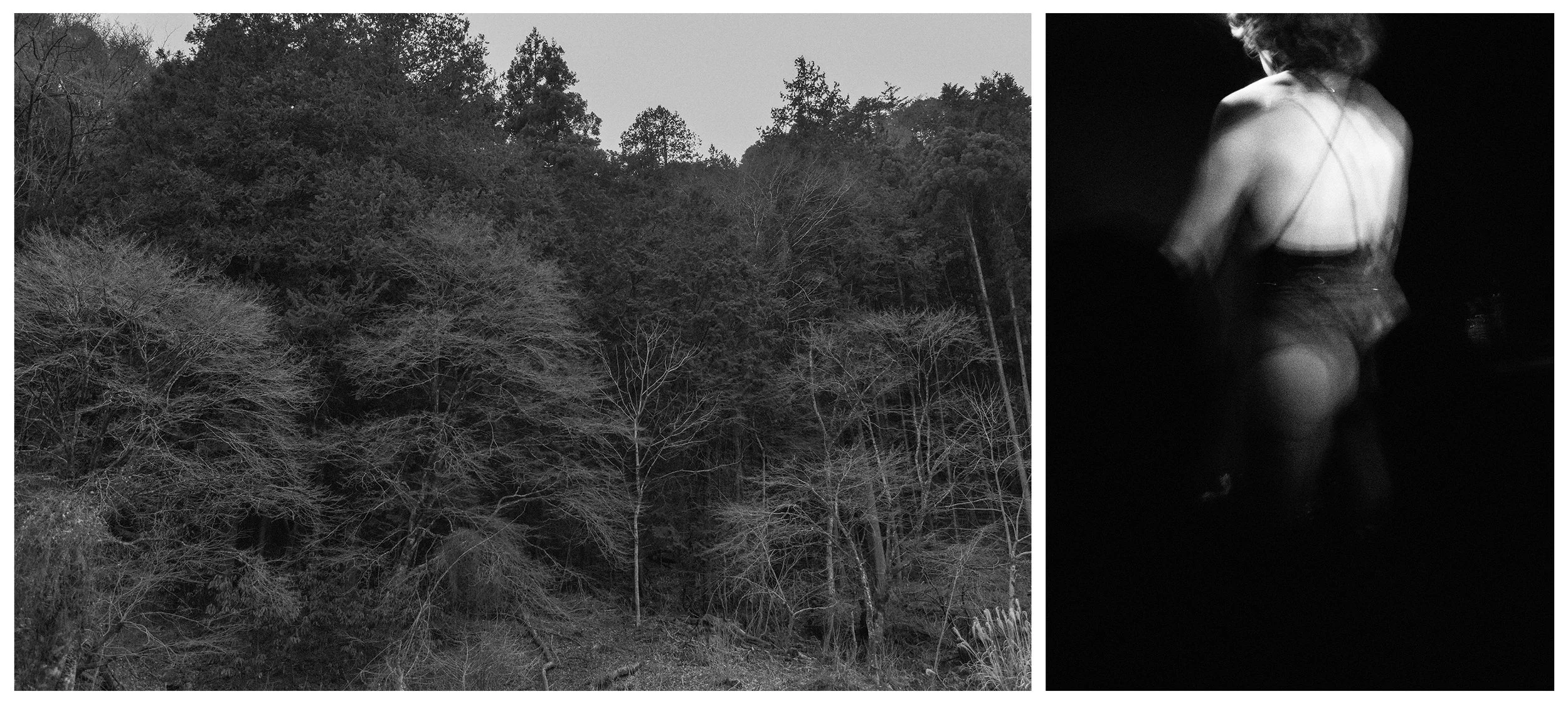 FALL VALLEY / NIGHTBIRD