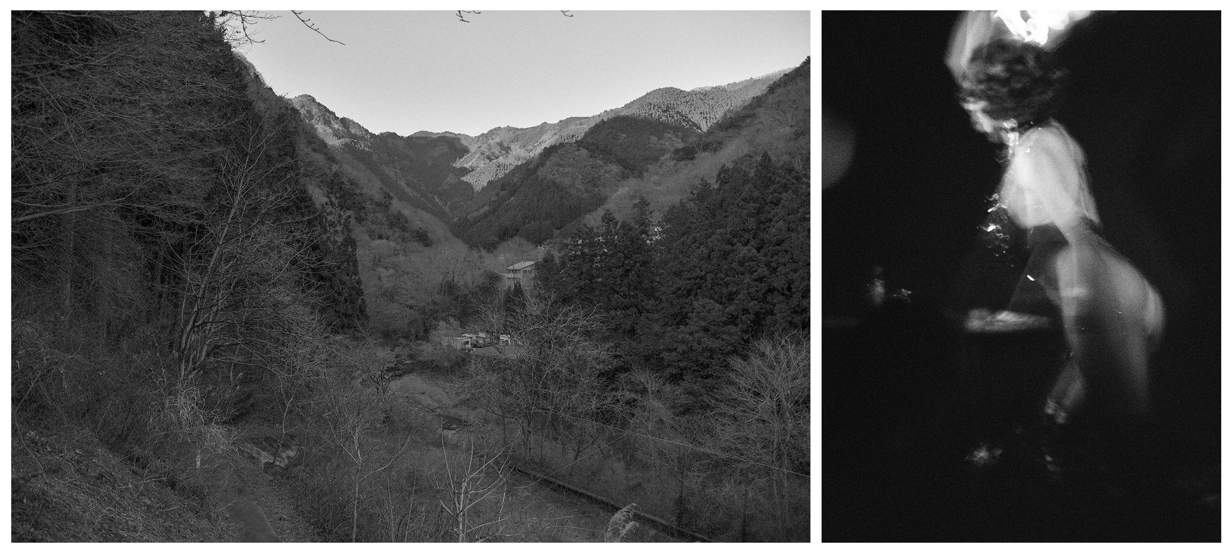 FALL VALLEY / NIGHTBIRD