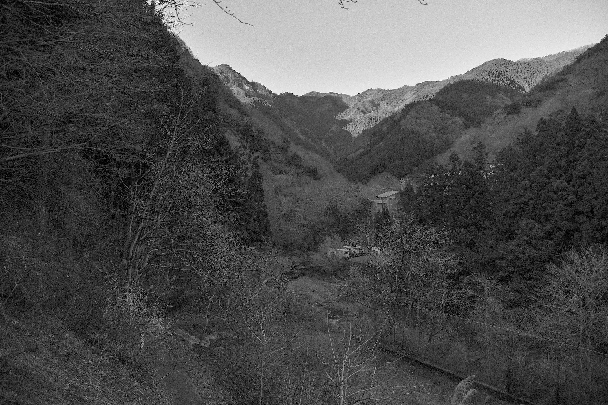 FALL VALLEY / NIGHTBIRD PT. 1