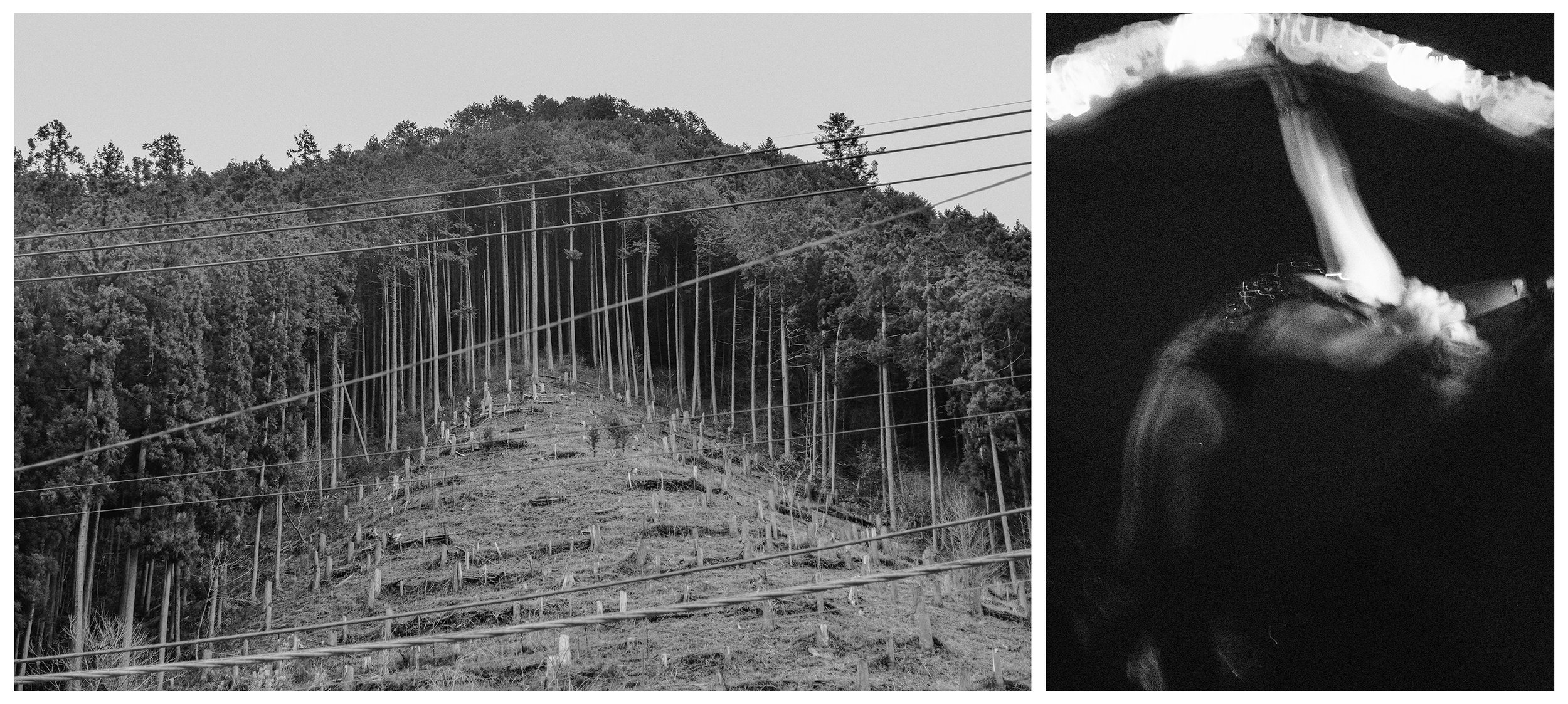 FALL VALLEY / NIGHTBIRD