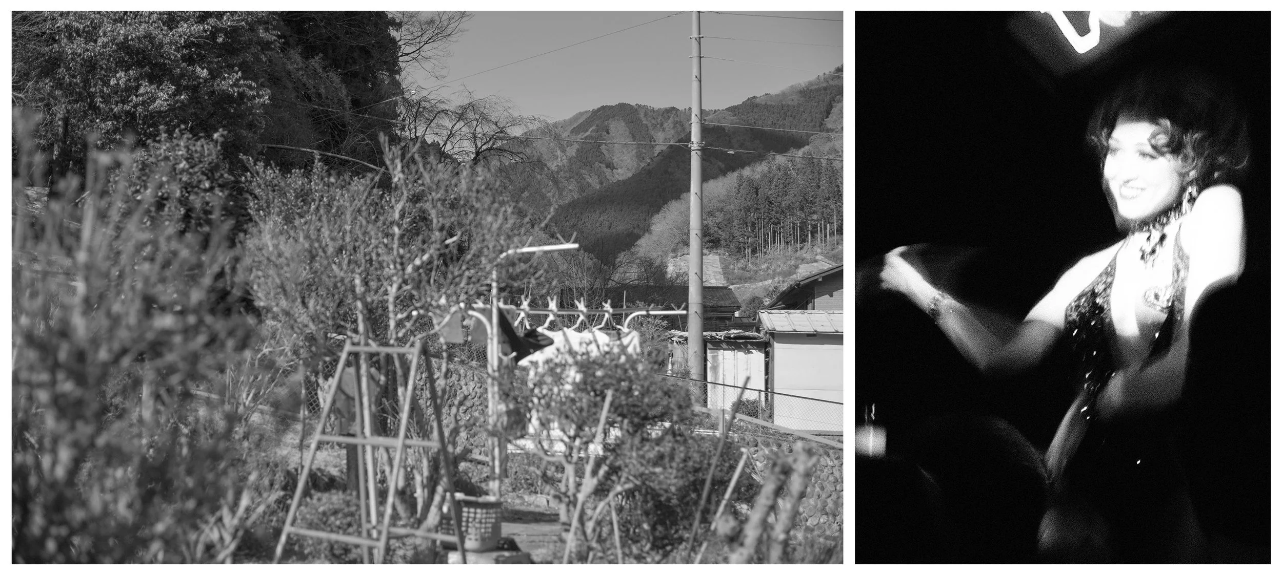 FALL VALLEY / NIGHTBIRD