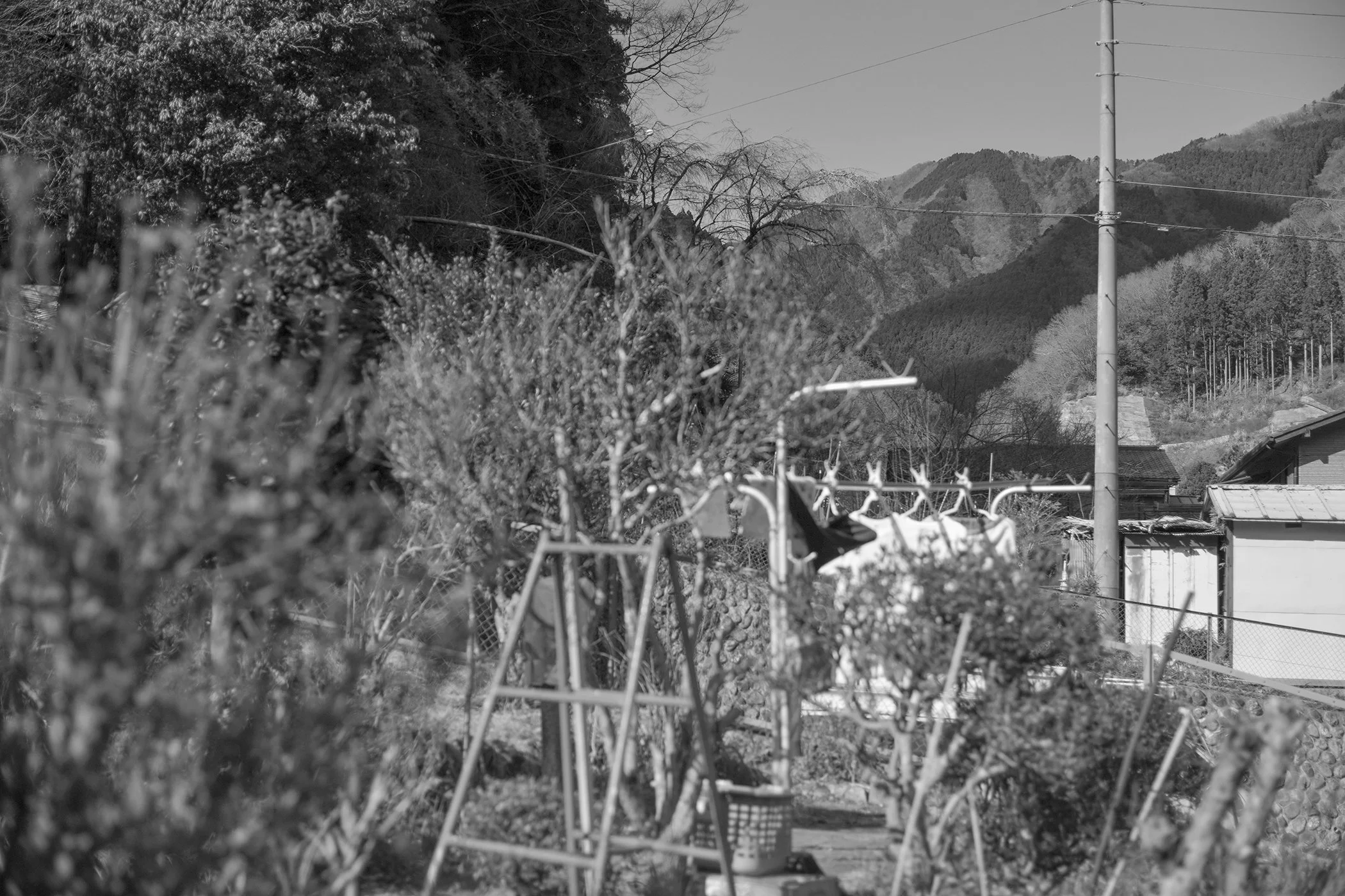 FALL VALLEY / NIGHTBIRD PT. 1