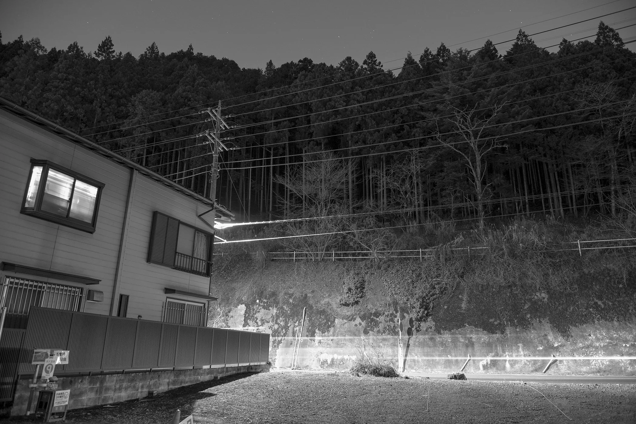 FALL VALLEY / NIGHTBIRD PT. 1