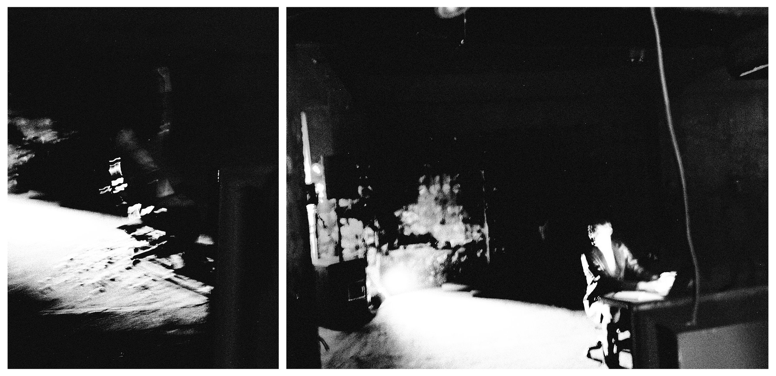 DIPTYCH - PLURAL FIELDS