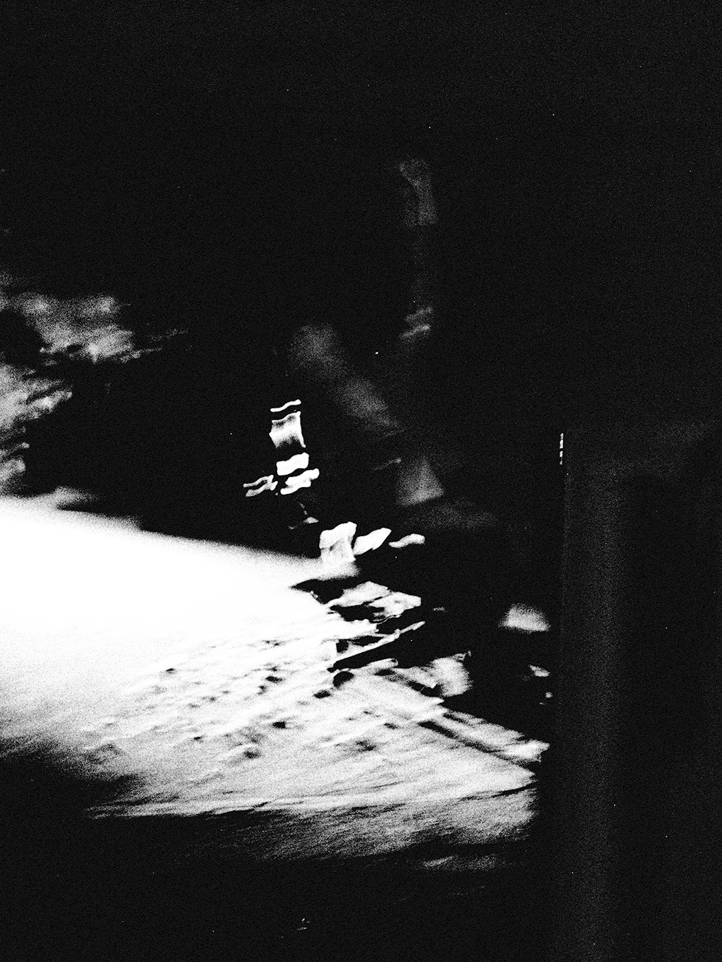 DIPTYCH - PLURAL FIELDS PT. 1