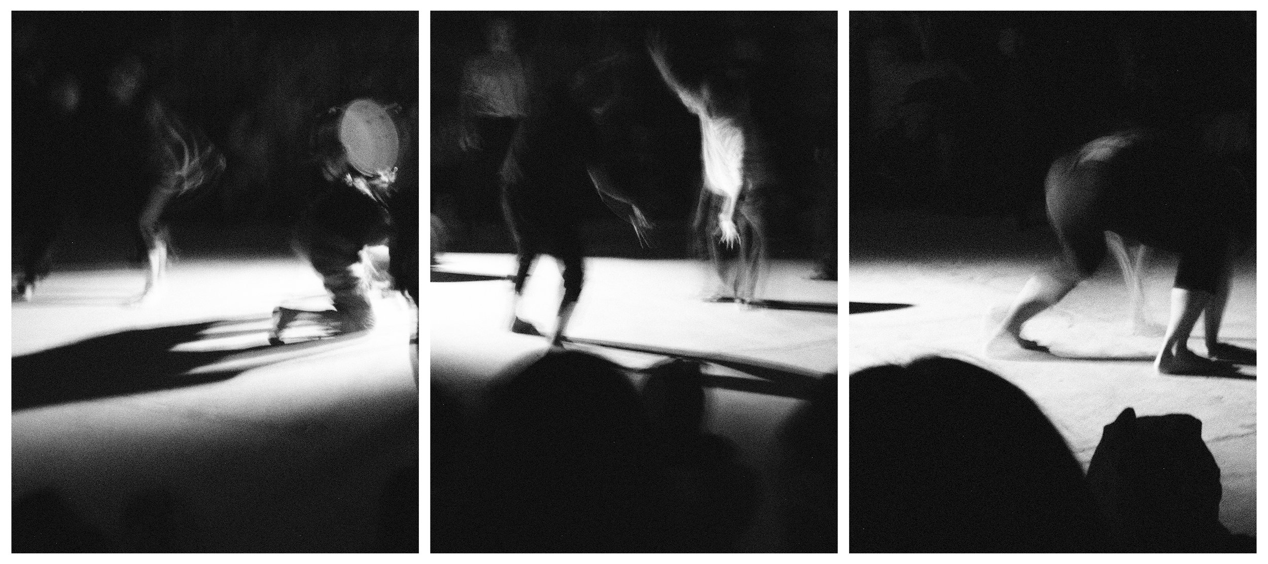 TRIPTYCH - PLURAL FIELDS