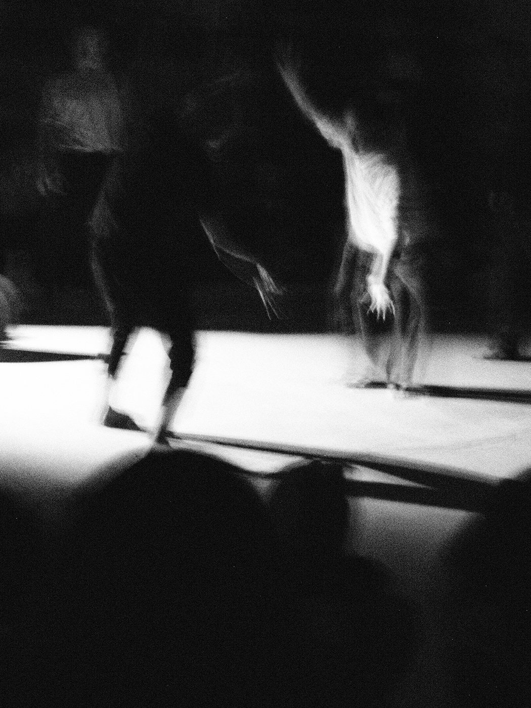 TRIPTYCH - PLURAL FIELDS PT. 2