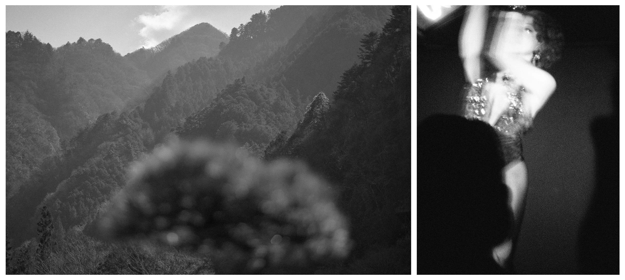 FALL VALLEY / NIGHTBIRD