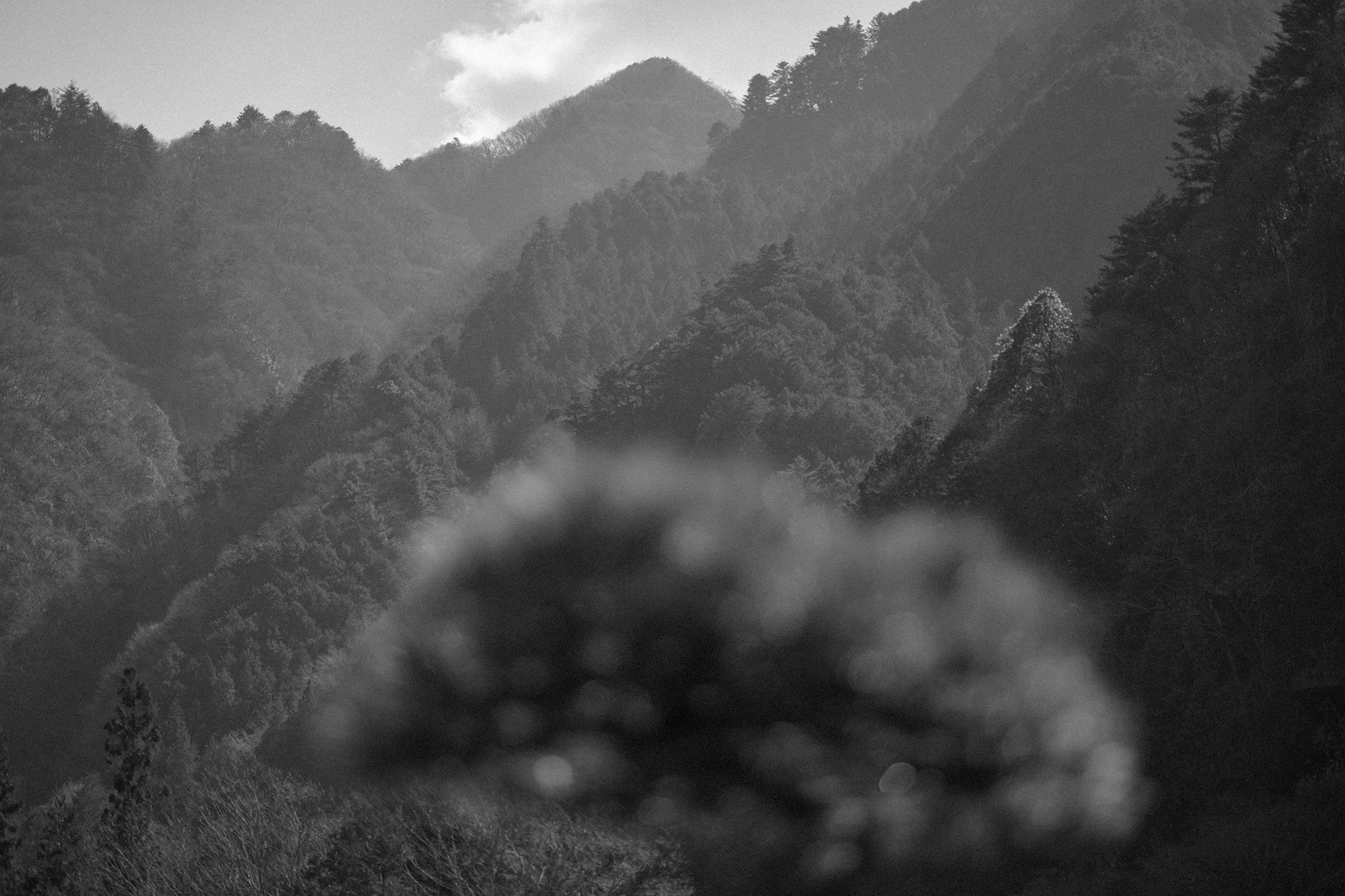 FALL VALLEY / NIGHTBIRD PT. 1