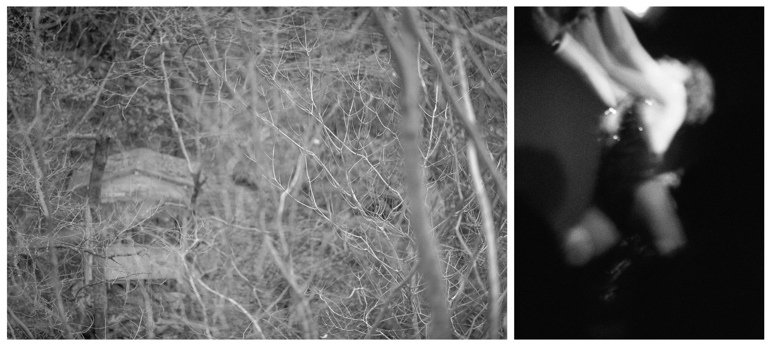 FALL VALLEY / NIGHTBIRD