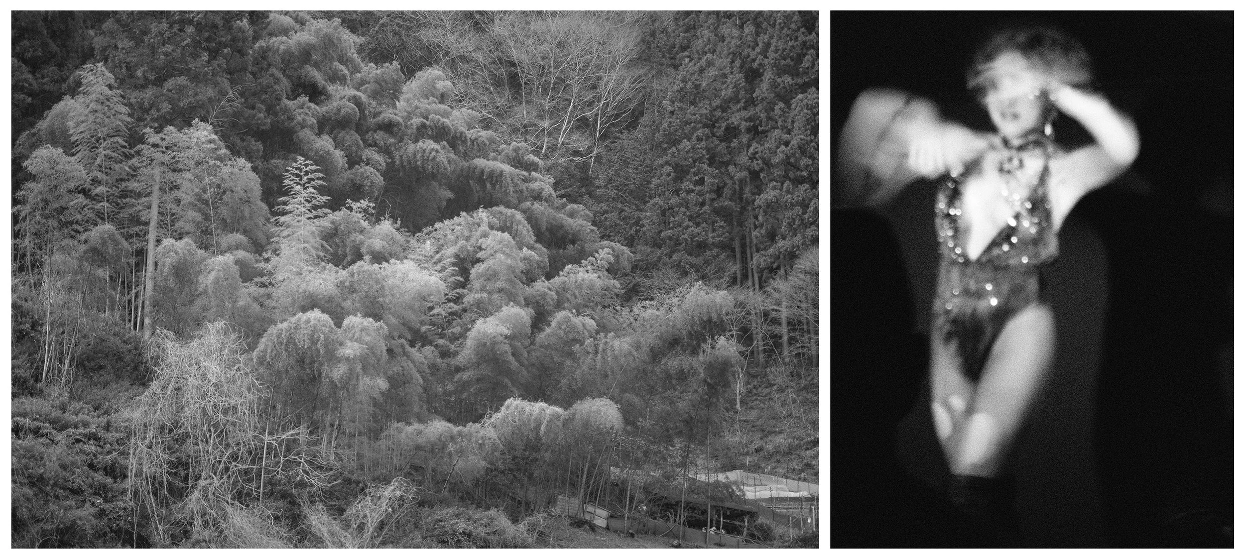 FALL VALLEY / NIGHTBIRD