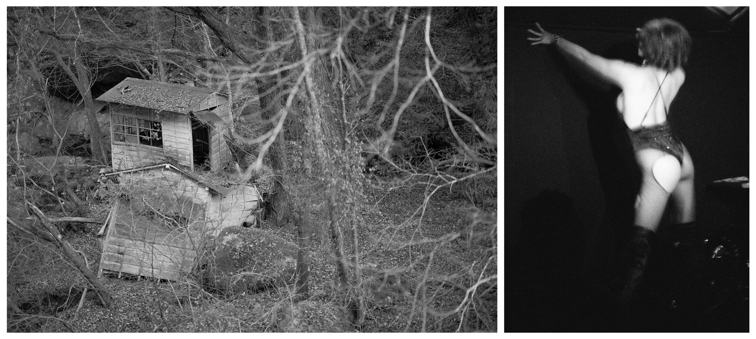 FALL VALLEY / NIGHTBIRD