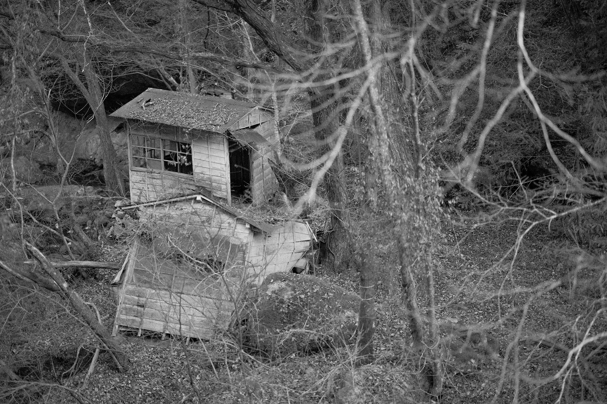 FALL VALLEY / NIGHTBIRD PT. 1