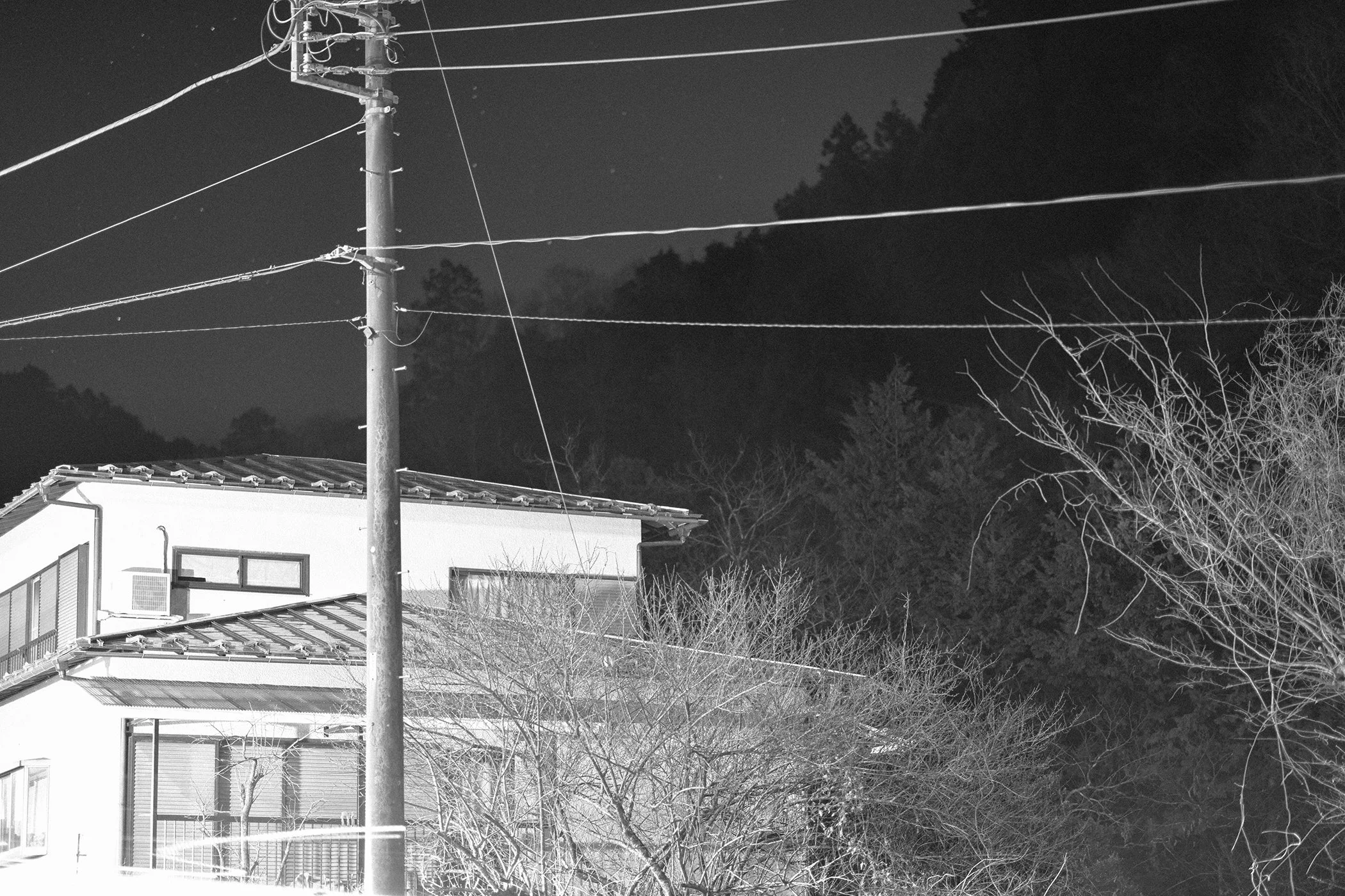 FALL VALLEY / NIGHTBIRD PT. 1