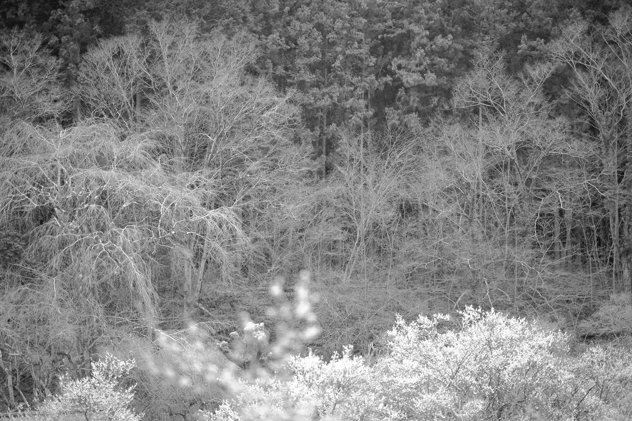 FALL VALLEY / LODGE PT. 1