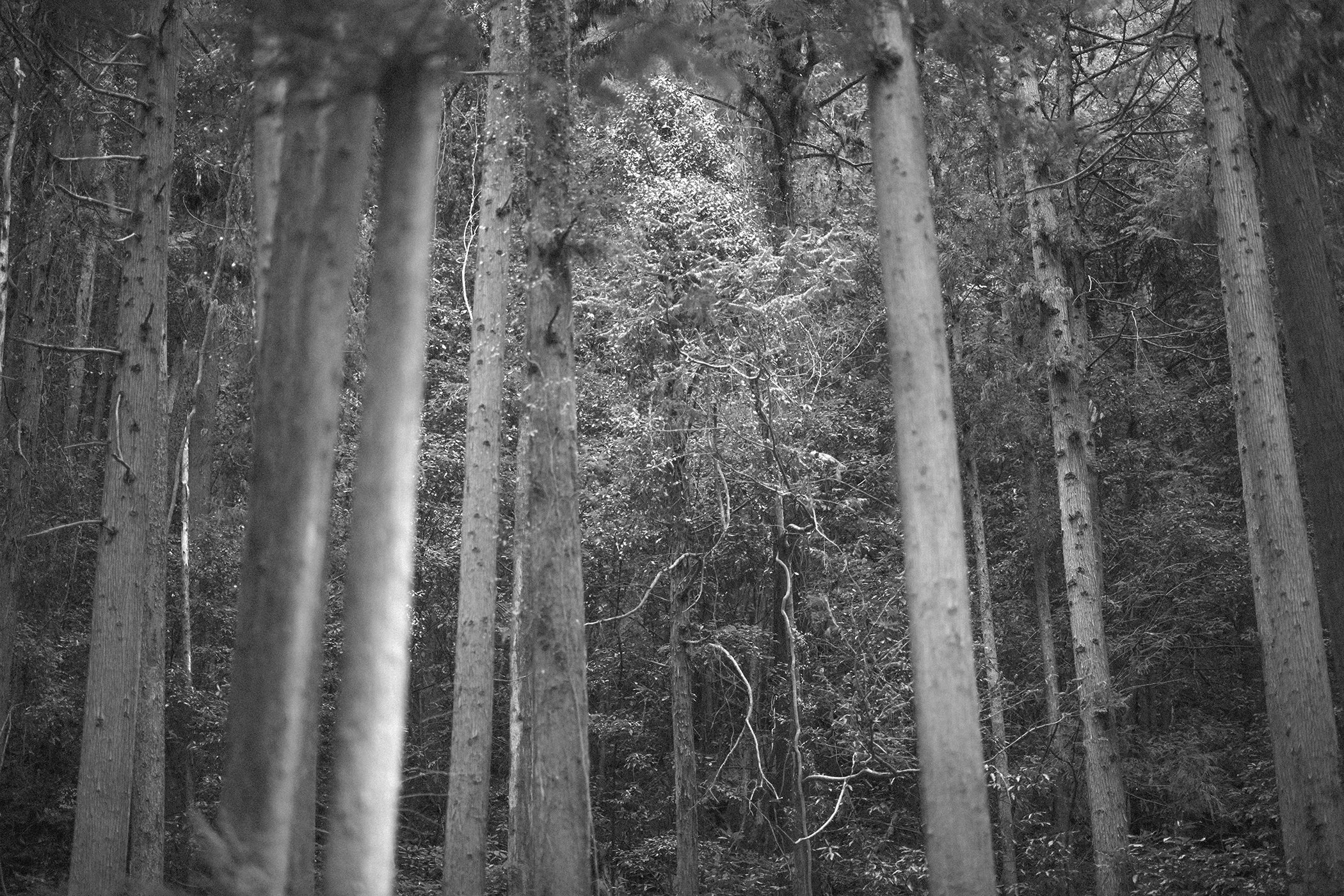 FALL VALLEY / LODGE PT. 1