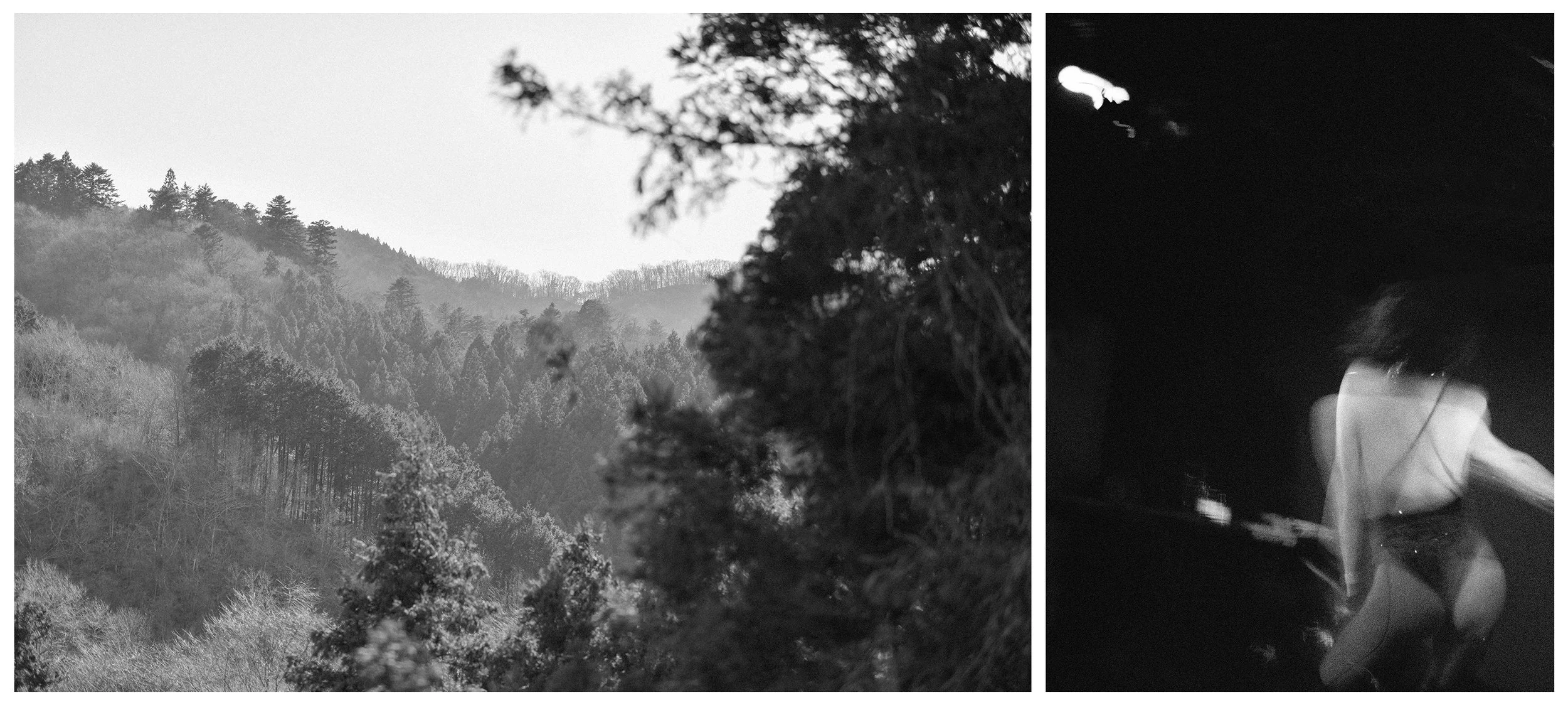 FALL VALLEY / NIGHTBIRD